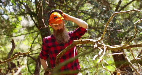 Lumberjack working with chainsaw during a nice sunny day Stock Footage 154433970