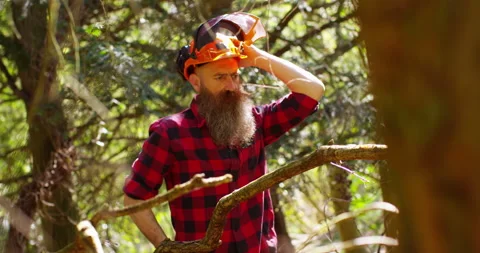 Lumberjack working with chainsaw during a nice sunny day Stock Footage 154434308