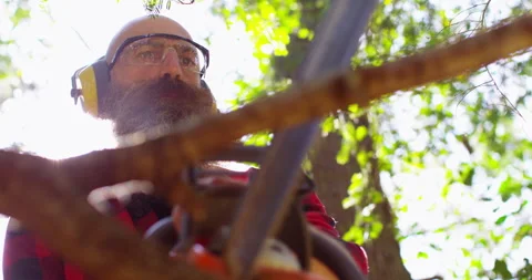 Lumberjack working with chainsaw during a nice sunny day Stock Footage 154434809
