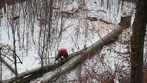 A lumberjack working in the forest in winter. The Carpathian Mountains. Stock Footage 228113108