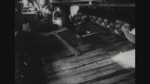 Lumberjack working in sawmill Video stock 43310425