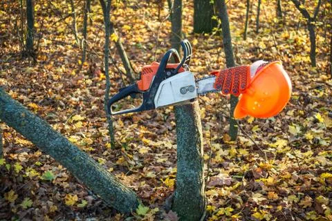 Lumberjack working tool chainsaw and helmet protection equipment on log Stock Photos