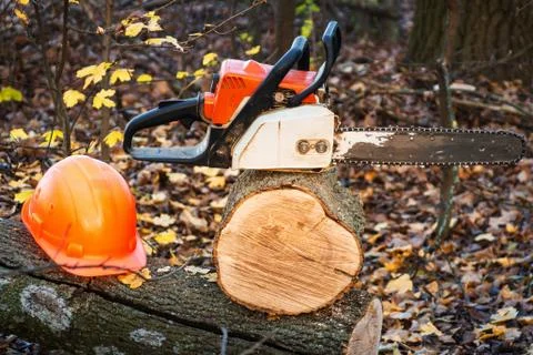 Lumberjack working tool chainsaw and helmet protection equipment on log Stock Photos