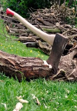 Lumberjack's Axe Stuck in a Tree Log on Grass Stock Photos