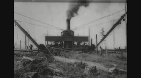 Lumberjacks working in sawmill Stock Footage 43310219