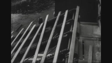 Lumberjacks working in sawmill Video stock 43310443