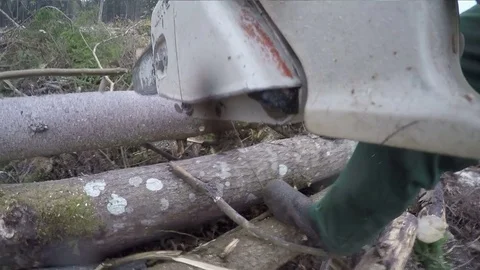 A lumberman with a saw Stock Footage 84197376