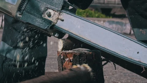 Lumberman Sawing with a Chainsaw Branches from a Tree Trunk Stock Footage 271127826