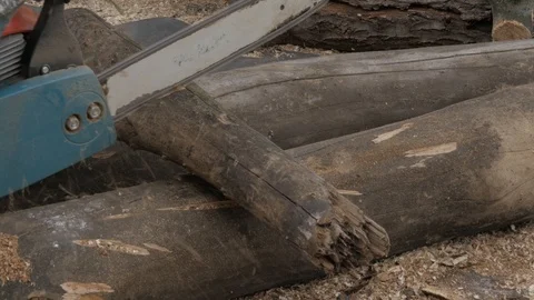 Lumberman using chainsaw sawing dry wood lying on ground. slow motion Stock Footage 96985386