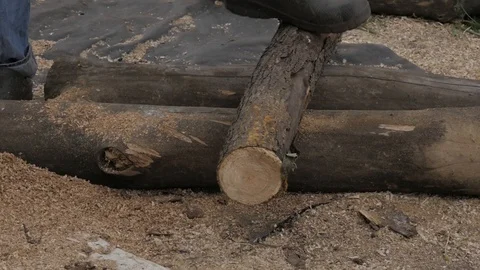 Lumberman using chainsaw sawing dry wood lying on ground. slow motion Stock Footage 96985395