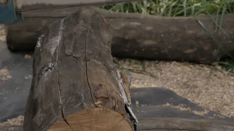 Lumberman using chainsaw sawing dry wood lying on ground. slow motion Stock Footage 98756389