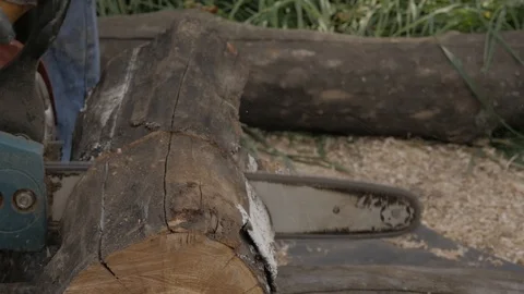 Lumberman using chainsaw sawing dry wood lying on ground. slow motion 스톡 동영상 98756544