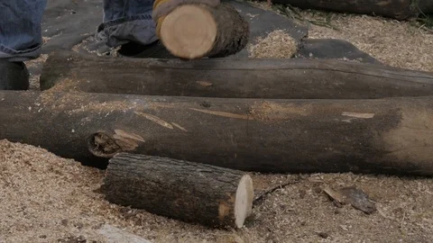 Lumberman using chainsaw sawing dry wood lying on ground. slow motion Stock Footage 98765250