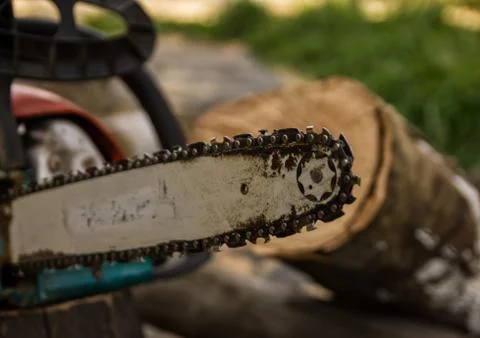 Lumberman using chainsaw sawing dry wood lying on ground. Stock Photos