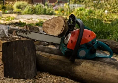 Lumberman using chainsaw sawing dry wood lying on ground. Stock Photos