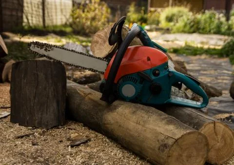 Lumberman using chainsaw sawing dry wood lying on ground. Stock Photos