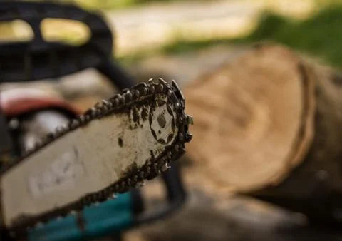 Lumberman using chainsaw sawing dry wood lying on ground. Stock Photos