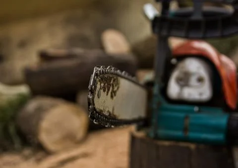 Lumberman using chainsaw sawing dry wood lying on ground. Stock Photos
