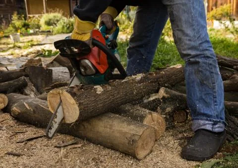 Lumberman using chainsaw sawing dry wood lying on ground. Stock Photos