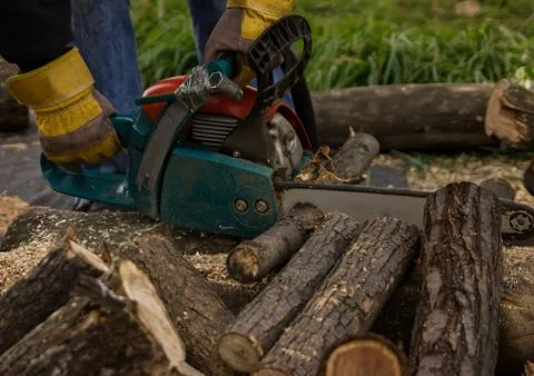 Lumberman using chainsaw sawing dry wood lying on ground. Stock Photos