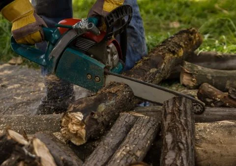 Lumberman using chainsaw sawing dry wood lying on ground. Stock Photos