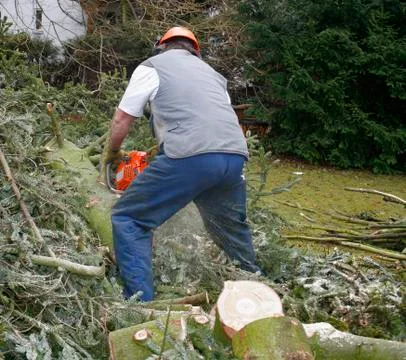 Lumberman at work Stock Photos