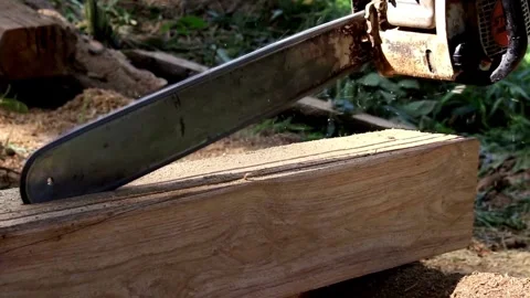 Lumberman work wirh chainsaw in the forest. Filmed on High Speed Cinema Camera, 库存影片 336570094