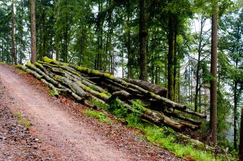 Lumberyard Stock Photos