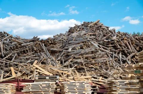 Lumberyard in sawmill. Stock Photos