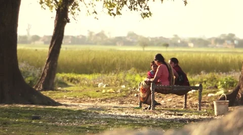 Lumbini Vana Nepal Stock Footage 54807809