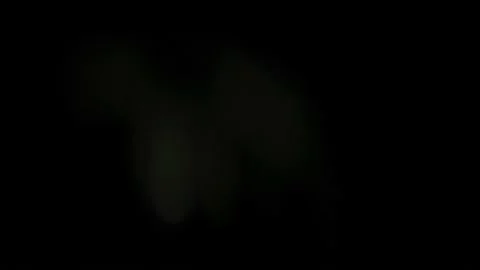 Lumen light 110 Stock Footage 220641076