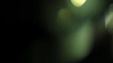 Lumen light 188 Stock Footage 220641148