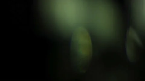 Lumen light 86 Stock Footage 220666102