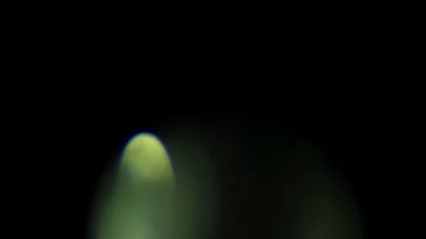 Lumen light 9 Stock Footage 220667153