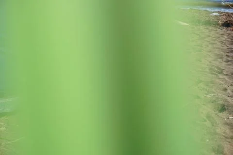 Luminescence through the grass. Stock Photos
