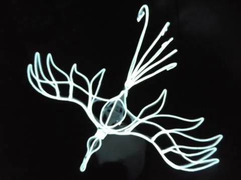Luminous cold neon, color of beauty in the form of flying bird in the dark, art Stock Photos
