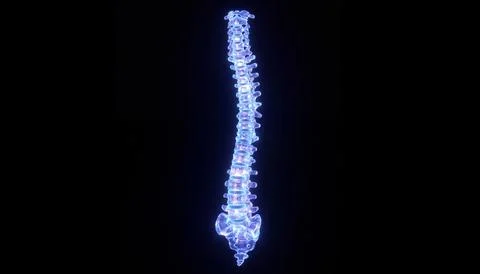 Luminous human spine and spinal cord anatomy illustration on black background Stock Illustration
