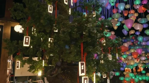 Luminous rectangle shape paper lanterns are hanging on the tree in darkness Stock-Footage 333317750