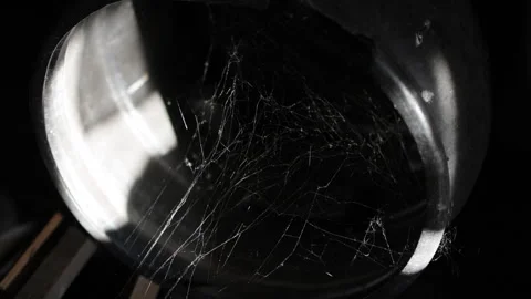 Luminous spider silk glows defiantly in the inky darkness. Stock Footage 314798234