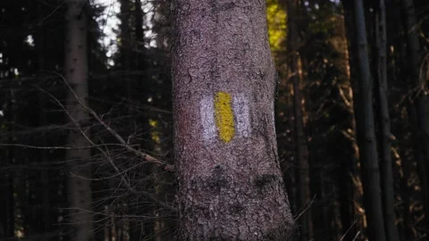 Lumix 2 動画素材 168254033