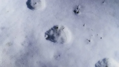 Lumix 3 Stock Footage 168254037