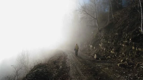 Lumix 5 動画素材 168254039