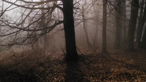 Lumix 6 Stock Footage 168254042