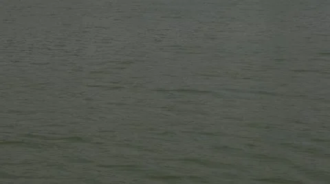 Lumphini Park Video stock 48205664