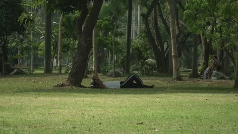 Lumphini Park Local Relaxing - Stationary 2 Stock Footage