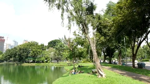 Lumpini 動画素材 95661196