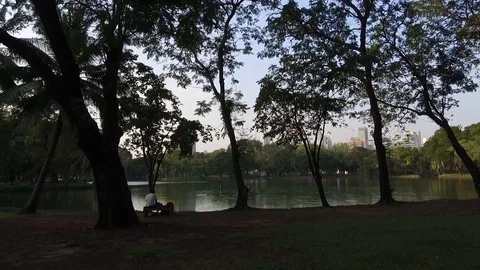 Lumpini Park lake with stabilizer Stock Footage 129938201