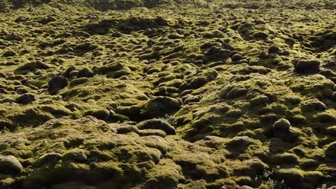 Lumpy Green Landscape Stock Footage 274181557