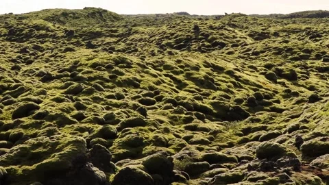 Lumpy Green Landscape, Pan Across Stock Footage 274181721