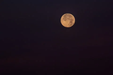Luna 08-04-20 Stock Footage 233666284